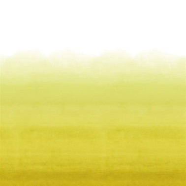 Shoshi Lemongrass PDG1163-07