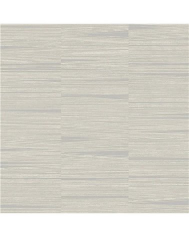 Line Stripe Gray OI0664
