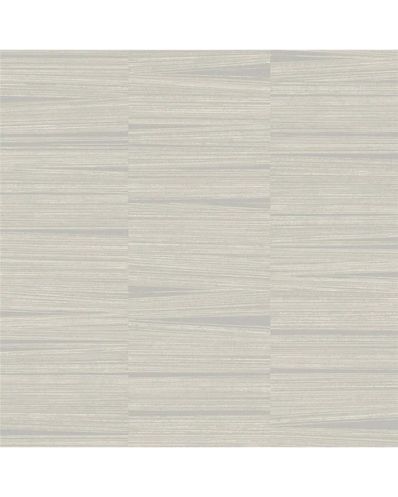 Line Stripe Gray OI0664