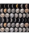 Moon Phases Premiun WP20066