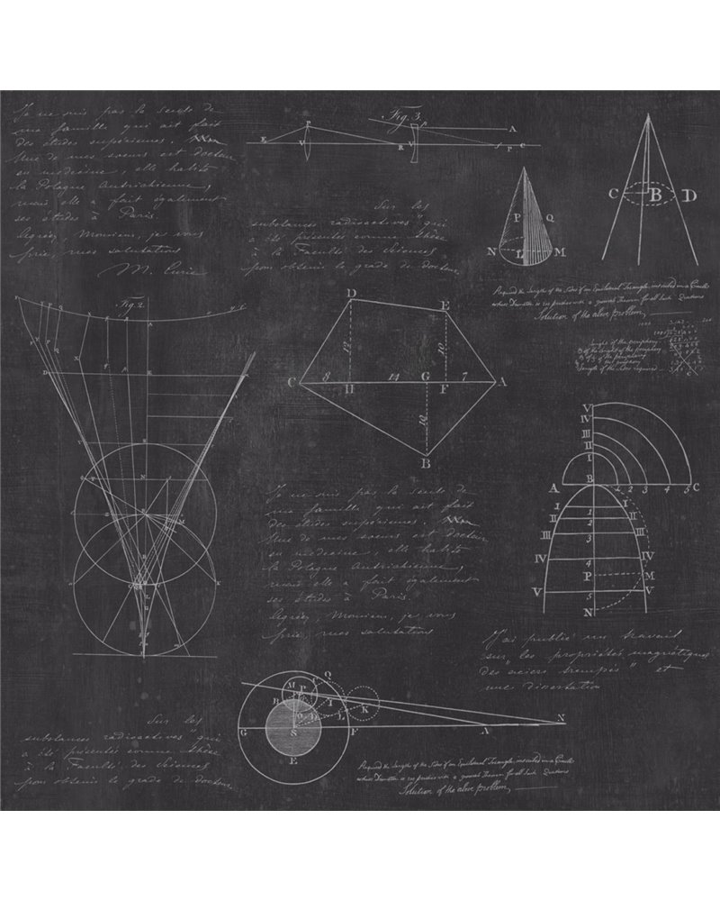 Newton Geometry Premium WP20046