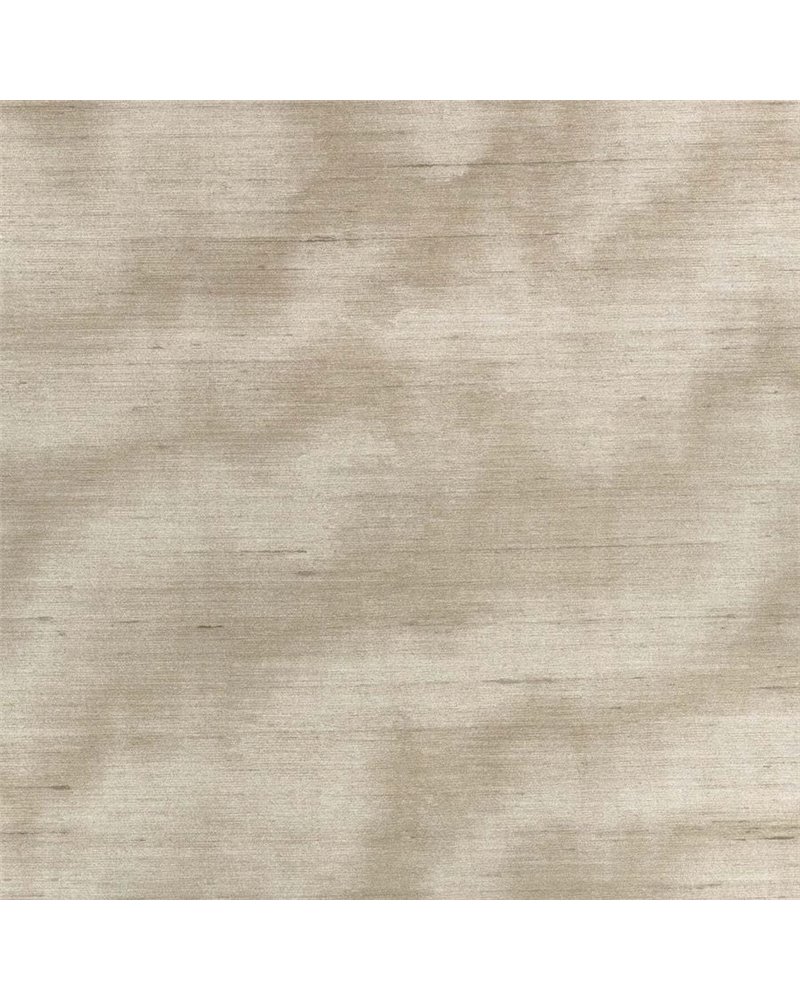 Caractere Taupe ZW143-02