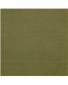 Sueded Cypress ZW141-07