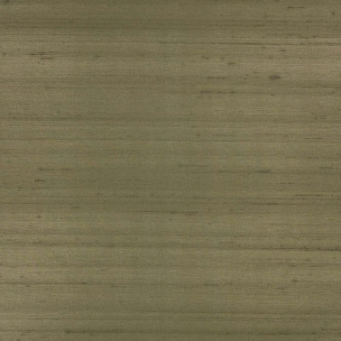 Cazenove Cypress ZW134-13