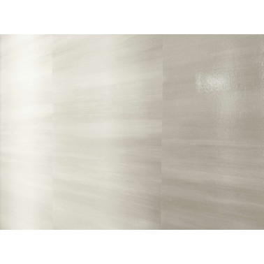 Lacquer Silver Grey ZW142-02