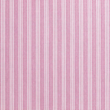Reed Stripe Fuchsia AW9849