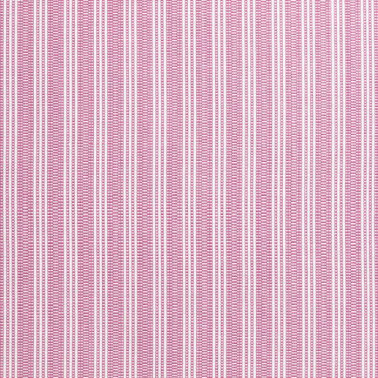 Reed Stripe Fuchsia AW9849