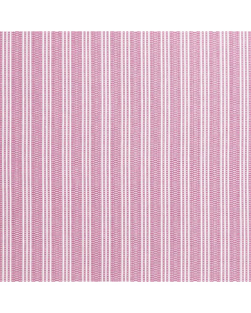 Reed Stripe Fuchsia AW9849