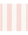 Stockwell Stripe Blush AW23161