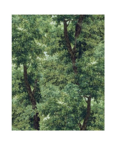 Branchy Meadow Green WP20785