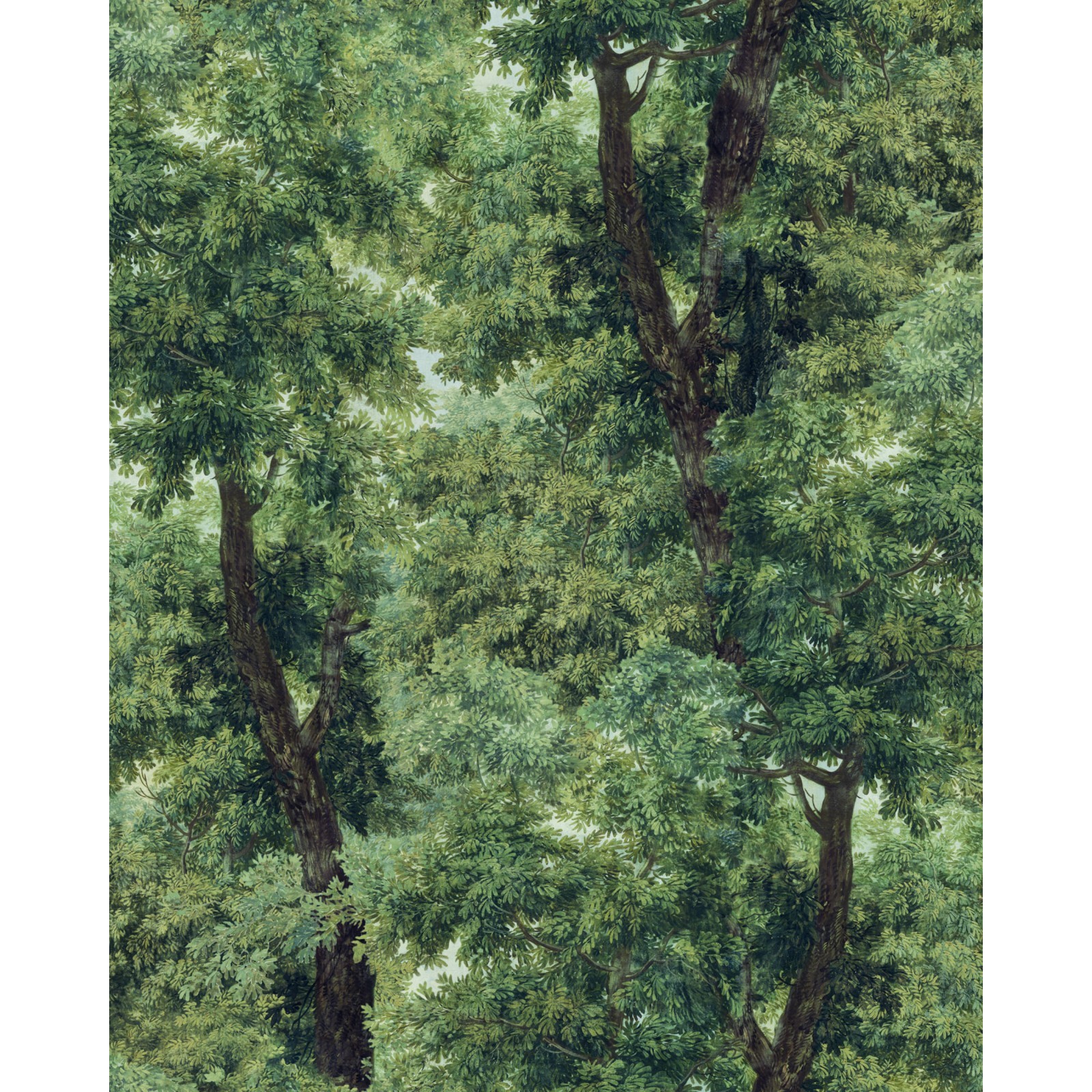 Branchy Meadow Green WP20785