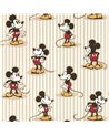 Mickey Stripe Peanut DDIW217273