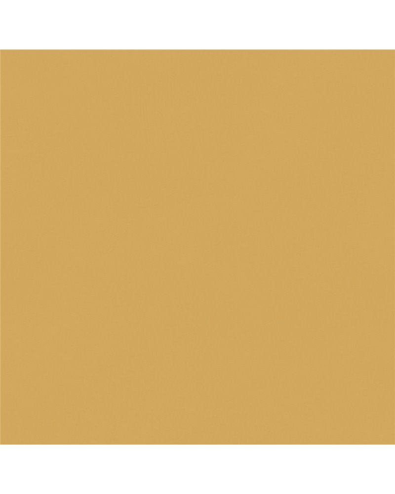 Color Gold BLONE101111