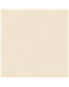 Color Parchment BLONE10051