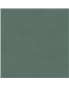 Color Pine BLONE1015