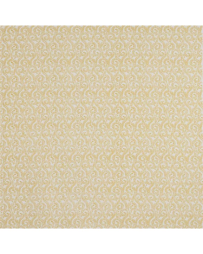 Millie Yellow J0123-08 Millie Yellow J0123-08
