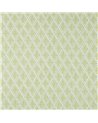 Zadie Green J0216-03