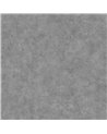 Riz Acier B00041