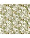 Mercia Apple Spice F1701-01