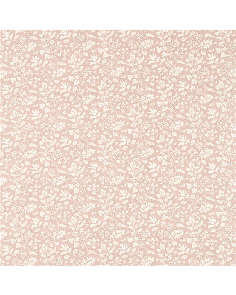 Bellever Blush F1699-01 Bellever Blush F1699-01
