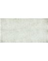 FICUS-SM011-2