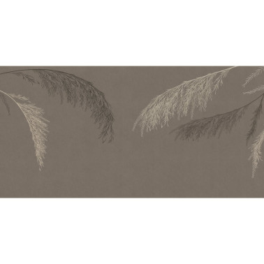 WILLOW-VP001-2