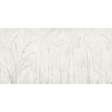 IVORY-AP011-1