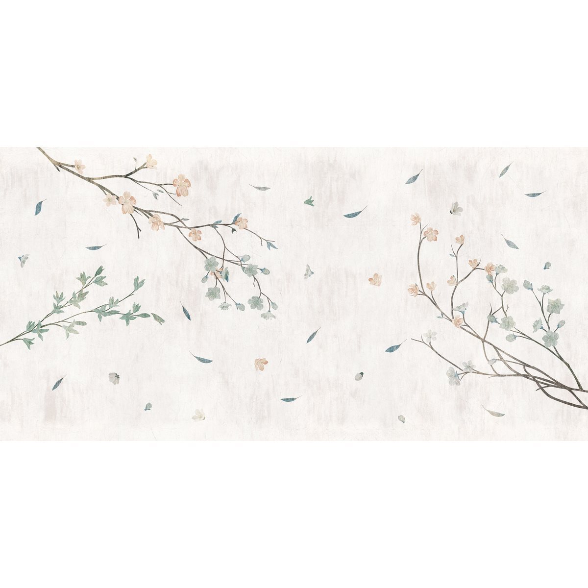 SAKURA-CT003-1