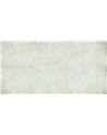 FICUS-SM011-2