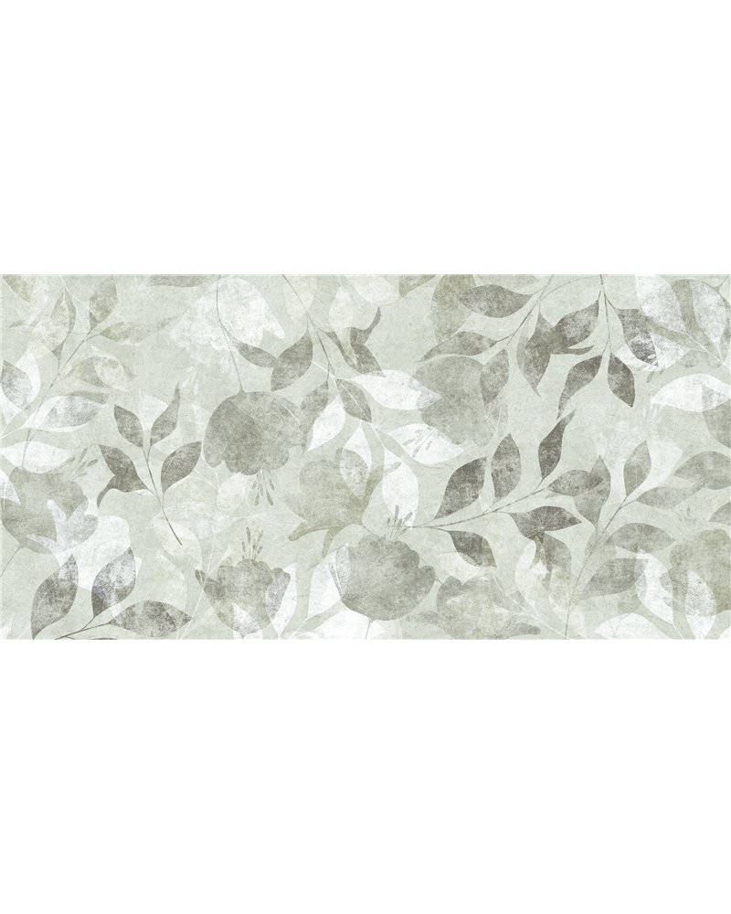 HOJA-SR001-2