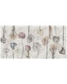 ROMANCE-VP013-1