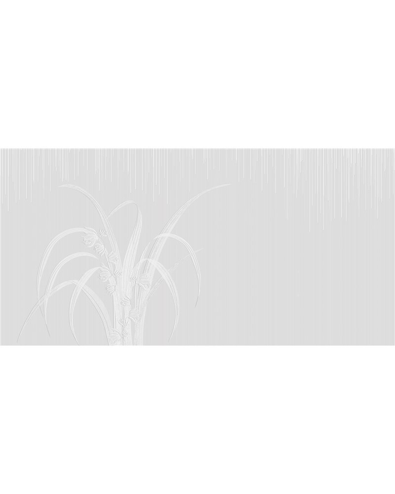 PURE-BLOOMS-AP096-1