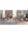 MUEBLE TV BAJO 2P ARON