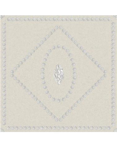 Conchiglie Pearl On Parchment 123_5024