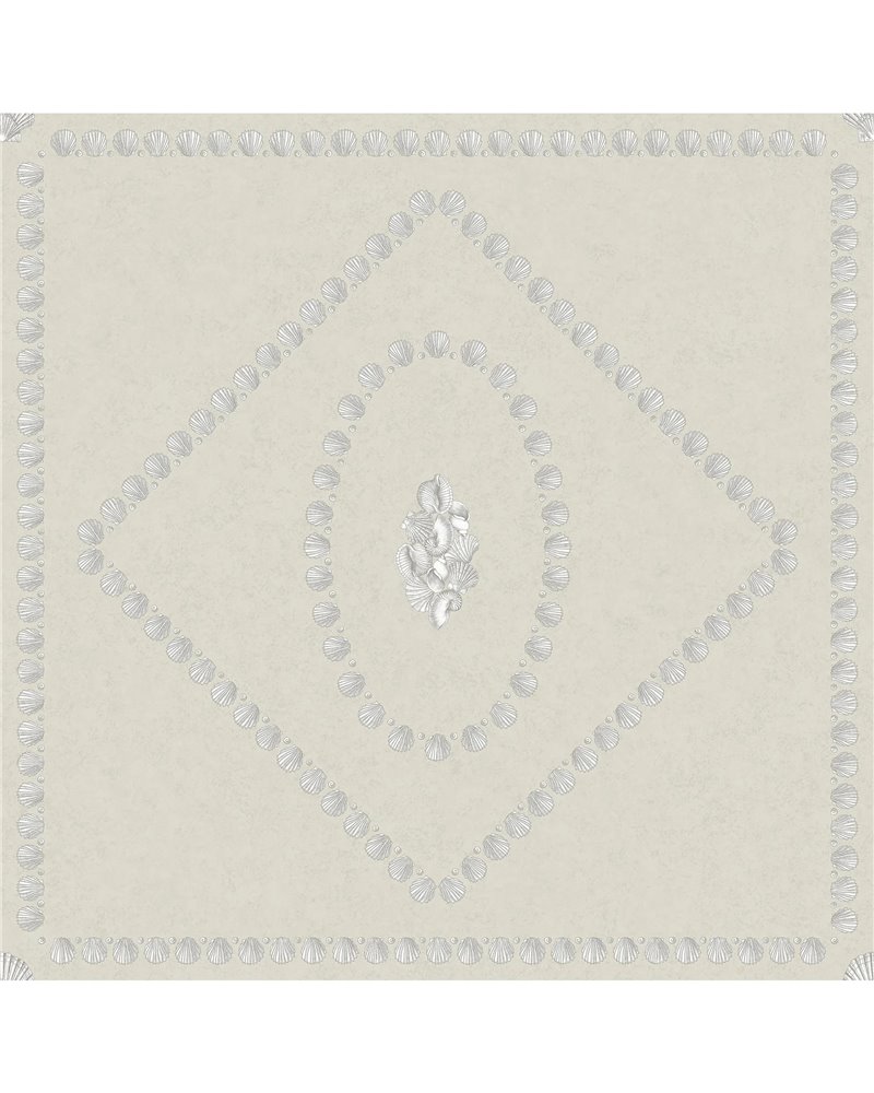 Conchiglie Pearl On Parchment 123_5024