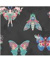 Butterfly Effect Noir BMCF003-02C