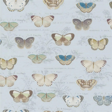 Butterfly Studies Cloud Blue PJD6017-02