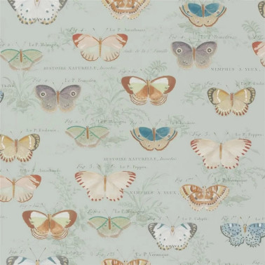 Butterfly Studies Eau de Nil PJD6017-03