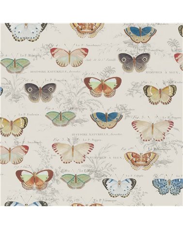 Butterfly Studies Parchment PJD6017-01