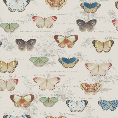 Butterfly Studies Parchment PJD6017-01