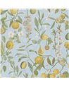 Orchard Fruits Sky Blue PJD6018-02