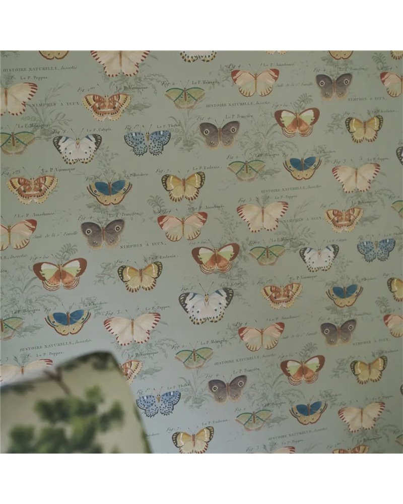 Butterfly Studies Eau de Nil PJD6017-03