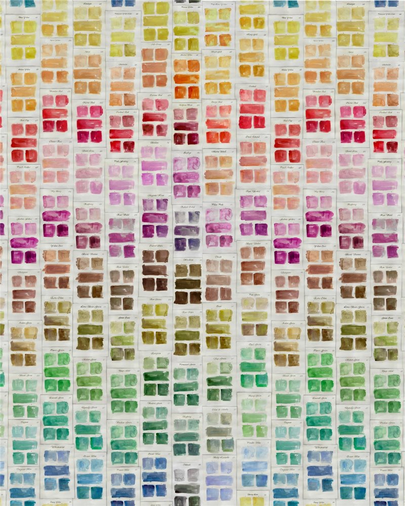 Palette WP20801