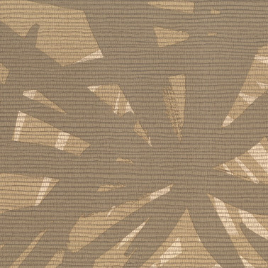 Pandanus 6242