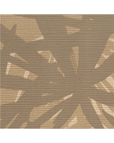 Pandanus 6242