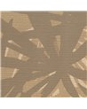 Pandanus 6242