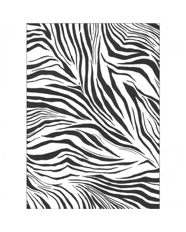 Zebra Blanc Noir 104960903