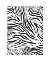 Zebra Blanc Noir L 104960904