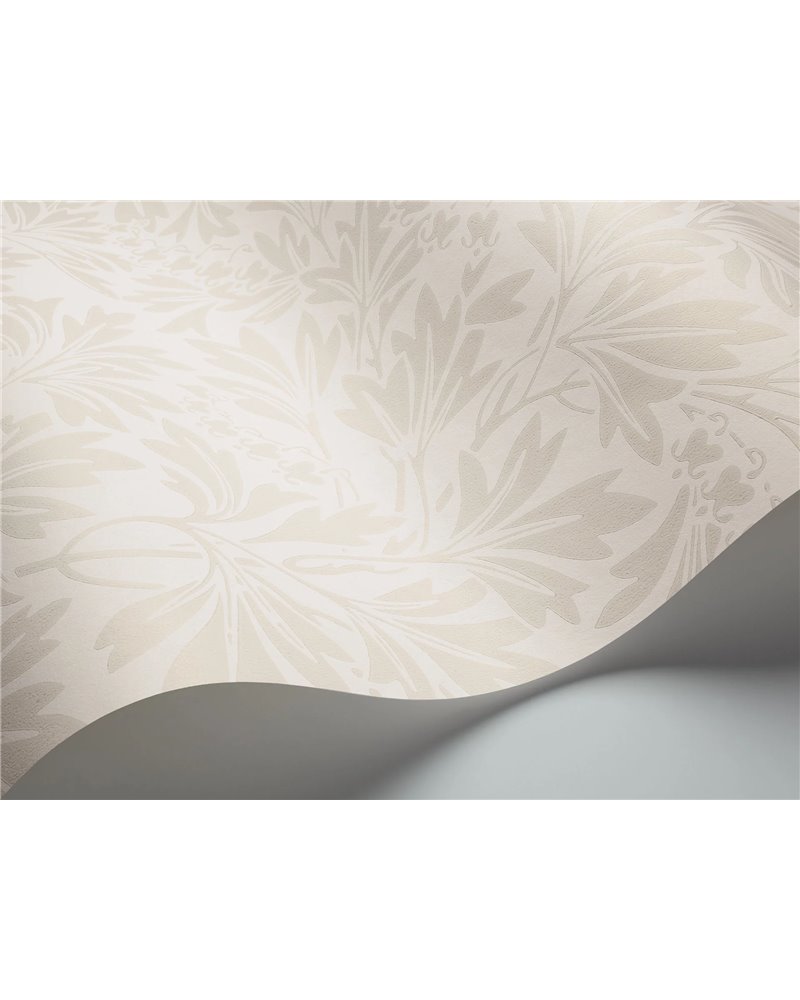 Dialytra Shell On Parchment 88-11045