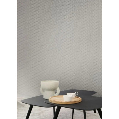 Connexions Gris Plume 89949180